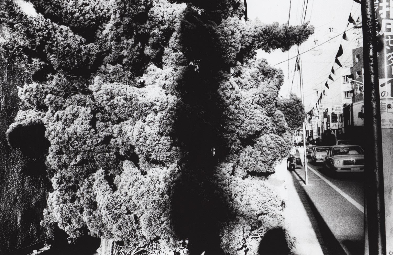 moriyama-untitled-light-WEB
