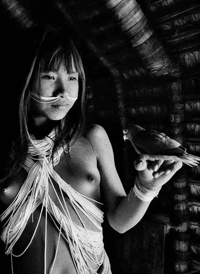 xl_salgado_amazonia_p450