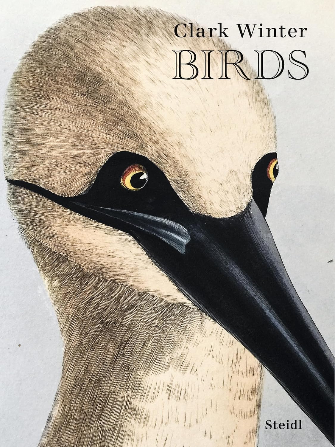 Clark Winter: Birds｜克拉克·温特：鸟类