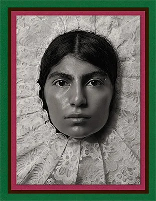 Pieter Henket: Birds of Mexico City