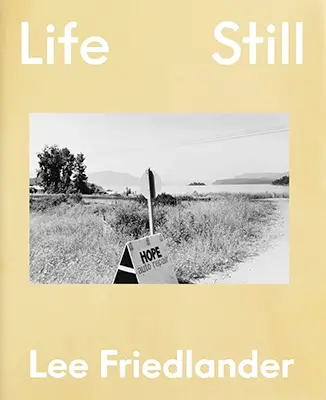 Lee Friedlander: Life Still｜李·弗里德兰德：静物生活