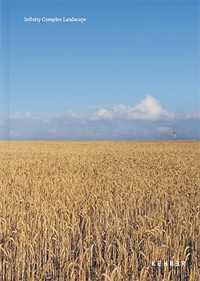 Infinity Complex Landscape