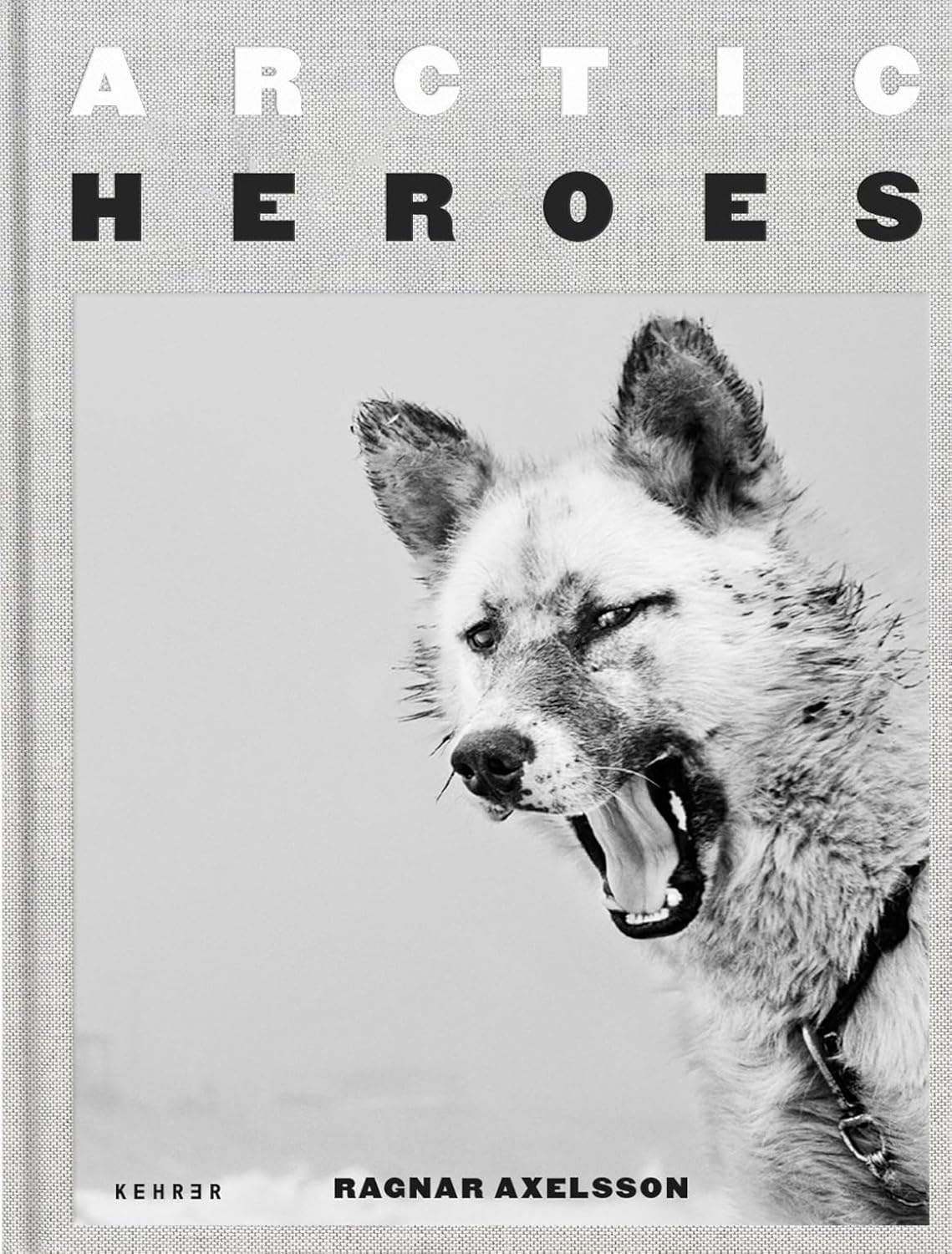 Arctic Heroes: A Tribute to the Sled Dogs of Greenland｜北极英雄：格陵兰雪橇犬致敬