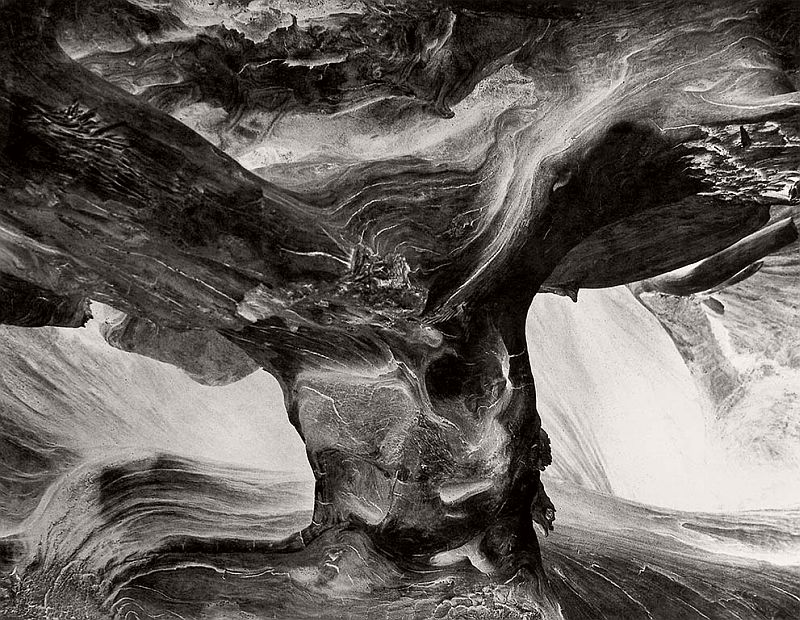 Wynn Bullock: Revelations sample 5