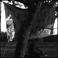 Akinbode Akinbiyi: Being, Seeing, Wandering sample 3